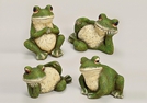 FROSCH POLY SORT.30-40CM
