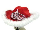 Karnevalshut Federnhut Cowboyhut rot
