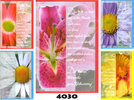 Geburtstags-Karte, pastellfarbene Blumenmotive