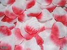 Rosenblätter Blütenblätter weiß rot 500er