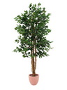 Ficus-Benjamini 1008 Blätter 180cm, Kunstpflanze