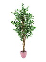 Silberficus-Benjamini Zementtopf 180cm, Kunstpflanze