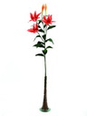 Tigerlilie oran 15Bl./3Blüten/2KNOSPEN 97cm, Kunstpflanze