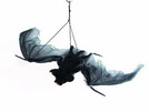 Fledermaus groß Spannweite 120cm