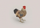 HUHN BRAUN METALL 19X10X23CM