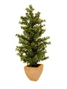 Waldficus Silberblatt 120cm, Kunstpflanze
