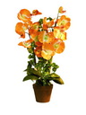 Orchidee orange im Topf 57cm, Kunstpflanze
