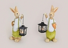 HASE J/M M.LATERNE POLY 2-F.S.12X11X34CM