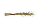Fenchelbund, getrocknet, gold, 160cm, Kunstpflanze