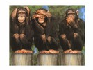 ALU-416 Alu - Bilder