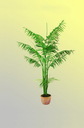 Areca Palme 4stämmig 240cm, Kunstpflanze
