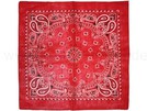 BA-162 Bandana paisley rot