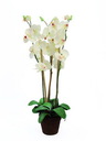 Orchidee weiß im Topf 80cm, Kunstpflanze