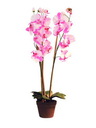 Orchidee, zart-rosa, 80cm, Kunstpflanze