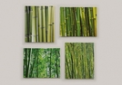 WANDBILD A.KEILRAHMEN BAMBUS SORT.40X50CM
