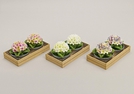 TEELICHT-SET 2TLG BLUETEN 3-FACH SORT.6X7CM