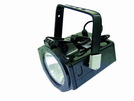 EUROLITE Outdoor Spot 150W NSP schwarz