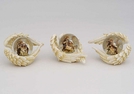 SCHNEEKUGEL KRIPPE/FLUEGELN POLY SORT.10X6CM