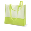 Shopping or beach bag