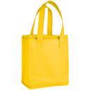 Non Woven Kuehltasche