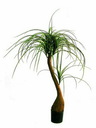 Elefantenfuß 159 Blatt 68cm, Kunstpflanze