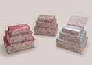 BOXEN-SET 3TLG VOGEL 3-F.SORT.PAPPE