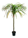 Dracena, rot-grün, 170cm, Kunstpflanze