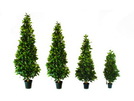 Lorbeerkegelbaum mit 1560 Blättern 150cm, Kunstpflanze