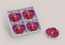 SCHWIMMKERZE ORCHIDEE 4-TLG 3X7CM}