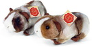 Plüsch Meerschweinchen, 2-farbig, 19cm