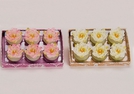 TEELICHT-SET 6TLG.SEEROSE SORT.CA.4X4CM