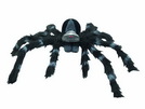 Spinne REAL, schwarzes Fell
