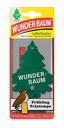 Wunderbaum Frühling
