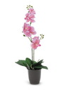 Orchidee, pink, 57cm, Kunstpflanze